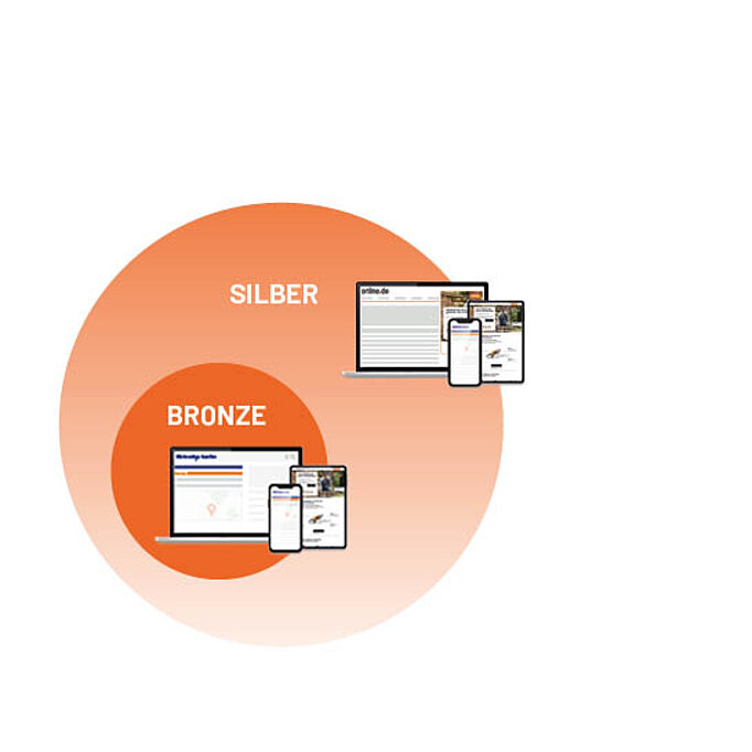 Kreisdiagramm der Website-Pakete Bronze und Silber mit Darstellungen auf Laptop, Smartphone und Tablet